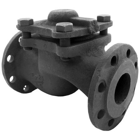 Клапан обратный фланцевый Ci 16кч9нж 32